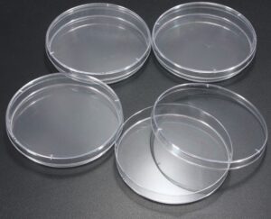 BOITE PETRI EN VERRE D.60 MM